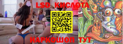 ПСИЛОЦИБИНОВЫЕ ГРИБЫ Гусев