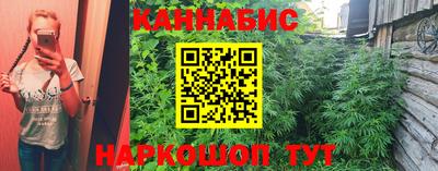 ПСИЛОЦИБИНОВЫЕ ГРИБЫ Гусев
