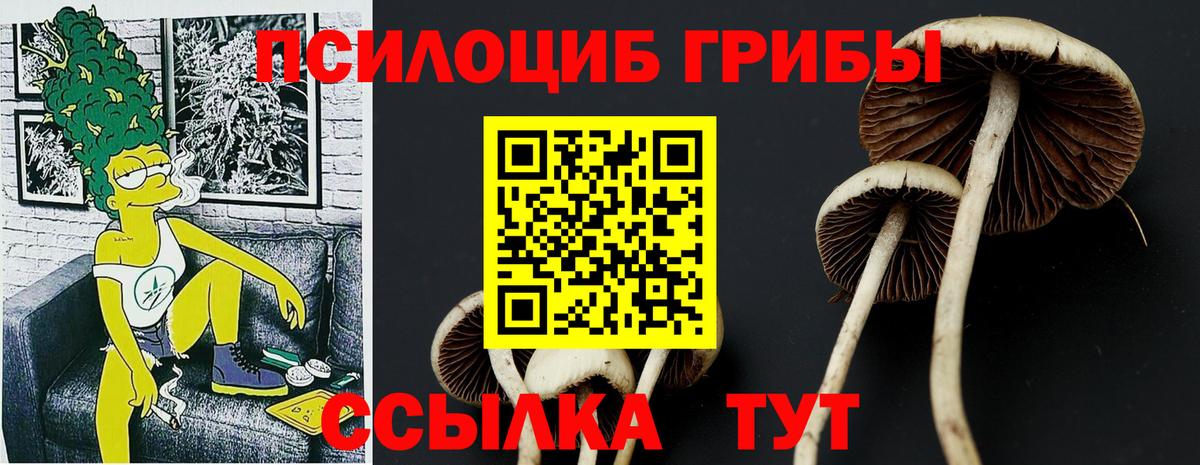 Псилоцибиновые грибы прущие грибы  Вход с VPN  Мурино 